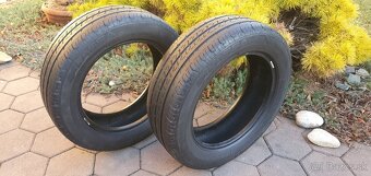 LASSA TRANSWAY 2, LETNE, DOT 0220, 195/60 R16 C, 99T - 2