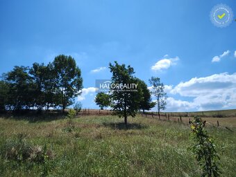 HALO reality - Predaj, pozemok pre rodinný dom 1158 m2 Hri - 2