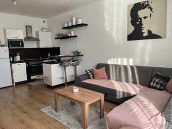 Prenajom 2 izboveho bytu - 2