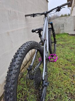 Transition Sentinel AL GX - 2