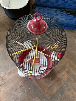 Klietka pre vtáčiky - 2