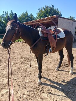 Westernové sedlo - 2