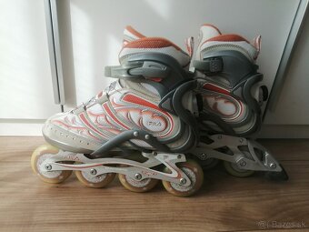 Fila korcule - 2