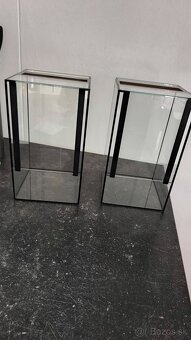Terárium - 2