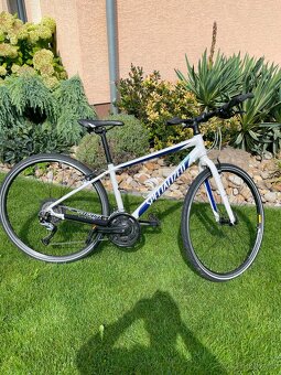 Dámsky bicykel - 2