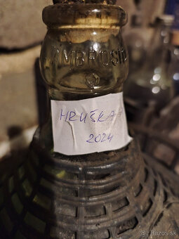 Domáca hruskovica - 2