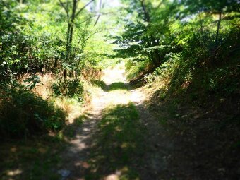 NA PREDAJ: Pozemok (rekreačný) 1033m2, ulica Stará Stupavská - 2