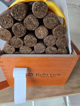 Cohiba Robustos Cigary - 2