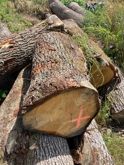 Dubovy pen=stol do exteriu - 2