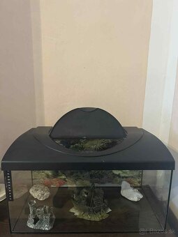 Akvarium a prislusenstvo k tomu - 2