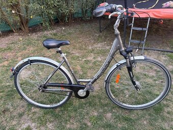 Kellys avenue 90’ - 2