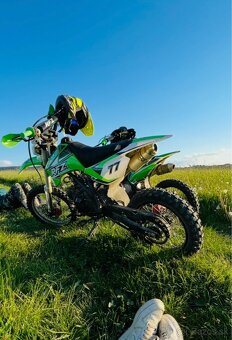 Pitbike RFZ 125 - 2