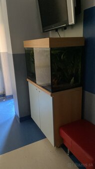 Darujeme akvárium-rezervované - 2