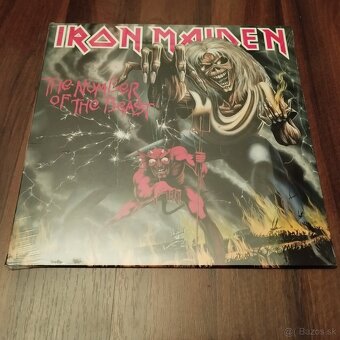 Metal CD,LP Iron Maiden,Evanescence,Motörhead aj iné - 2