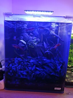 Osvetlenie akvaria, led. - 2