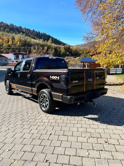 Ford F150 LPG - 2