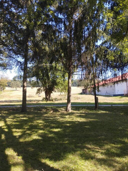 PREDAJ veľký pozemok v obci Dedinka. 5850 m2. - 2