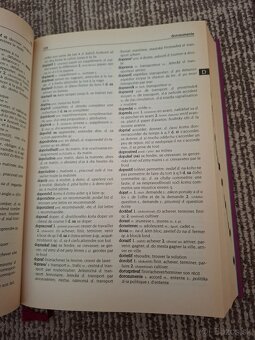 Slovensko - francúzsky slovník - 2