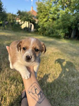 Darujeme len do dobrých rúk ‼️ - 2