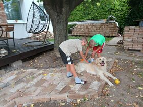 Ponuka na krytie - 2