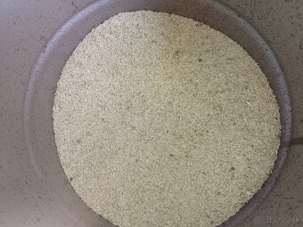 Predam pšenicu a jačmeň - 2