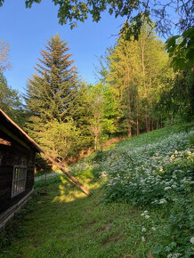 Predám romantickú chalupu - drevenica Terchová - Šípková - 2