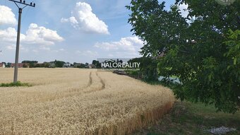 HALO reality - Predaj, pozemok pre rodinný dom 2605 m2 Kút - 2