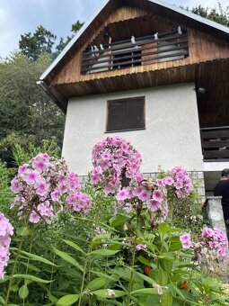 Chata s pozemkom na predaj - Mníchovský potok - Bardejov - 2