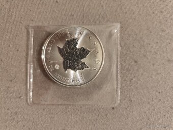 Investičné striebro - 2