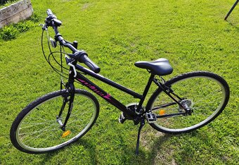 Dema Trino lady 18M - 2