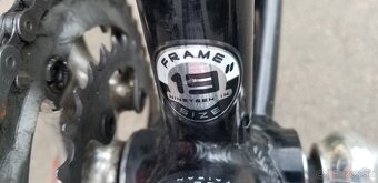 Trekingovy bike Giant - 2