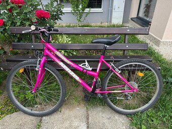 Kenzel Compact 26” - 2