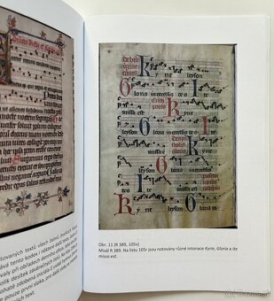 Umelecké zbierky a knihy kláštorov - 2