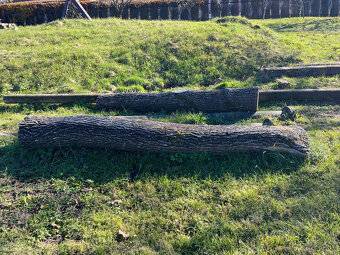 Dubová guľatina - 2