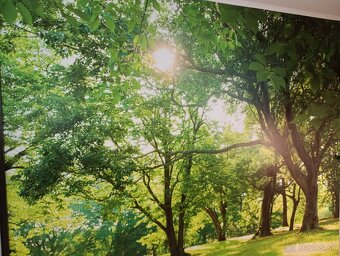 Tapetovanie (tapetar) - 2