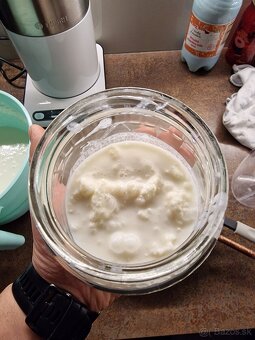 Predám kefirovu hubu - 2