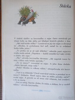 Lev a zajac (Anne Geelhaarová) - 2