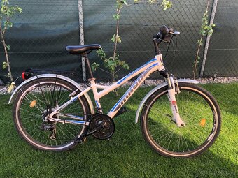 Bicykel - 2
