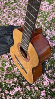 detská GITARA Hohner - 2