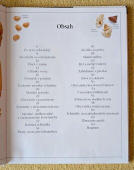 Mušle - 2