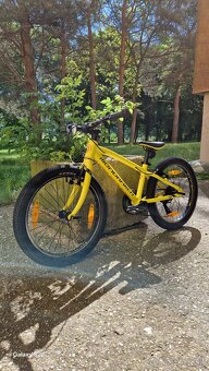Detsky bike 20 - Mondraker - 2
