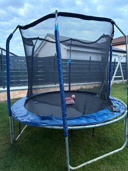 Trampolina marimex 244cm - 2