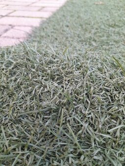 Predám umelý záťažový trávnik - 2