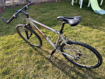 Madison Rochester - 2