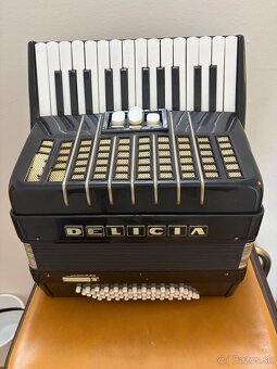 Delicia junior - 2