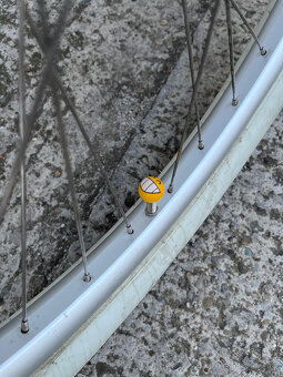 predam pohodlny damsky bicykel SCHWINN - 2