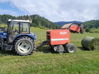 Maschio - 2