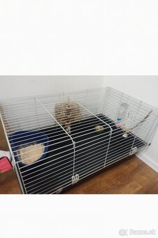 Klietka pre hlodavce - 2