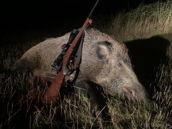 Celoročný lov- polovačka - 2