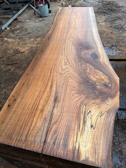 Rezivo Brest Brestove Fošne Kmene Drevo - 2